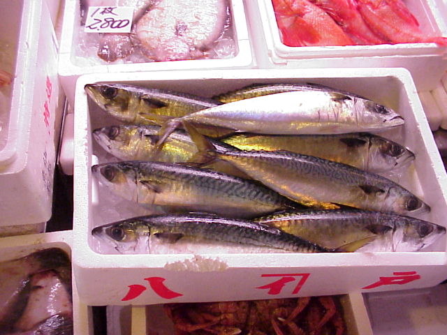 まさば